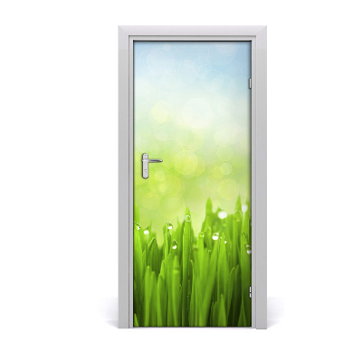 Self-adhesive door veneer Grass