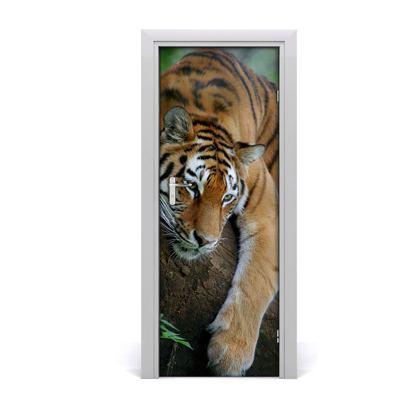 Self-adhesive door sticker Tiger on the tree