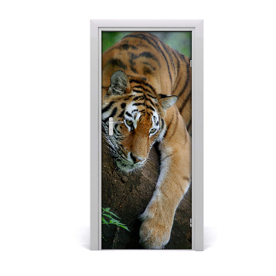 Self-adhesive door sticker Tiger on the tree