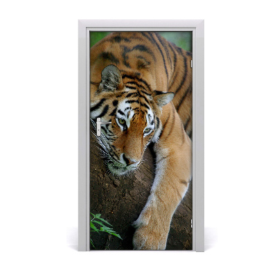 Self-adhesive door sticker Tiger on the tree