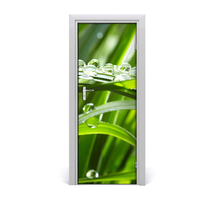 Self-adhesive door veneer Blades of grass