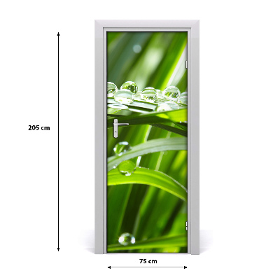 Self-adhesive door veneer Blades of grass