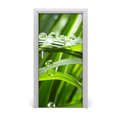 Self-adhesive door veneer Blades of grass