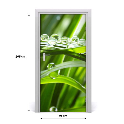 Self-adhesive door veneer Blades of grass