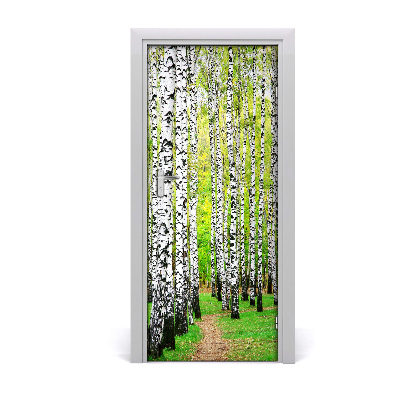 Door wallpaper Birch forest