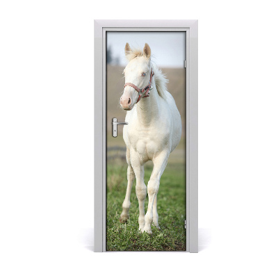 Self-adhesive door sticker Wall albino horse