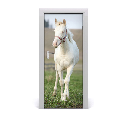 Self-adhesive door sticker Wall albino horse