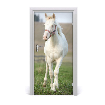 Self-adhesive door sticker Wall albino horse