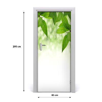 Self-adhesive door sticker Green leaves