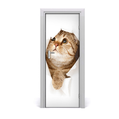 Self-adhesive door sticker Wall cat