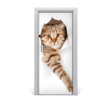 Self-adhesive door sticker Wall cat