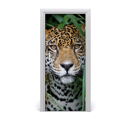 Self-adhesive door wallpaper Jaguar in amazon