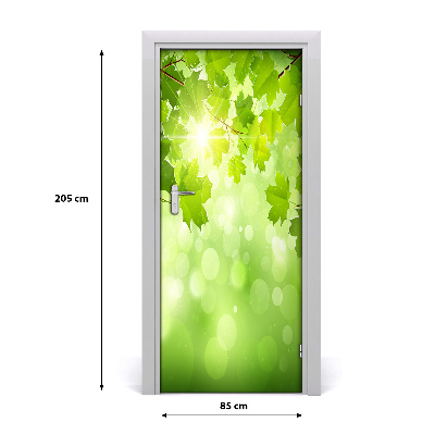 Self-adhesive door sticker Green leaves