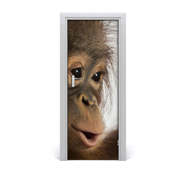 Self-adhesive door sticker A young orangutan