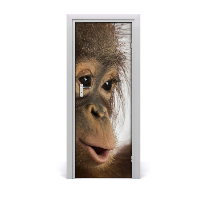 Self-adhesive door sticker A young orangutan