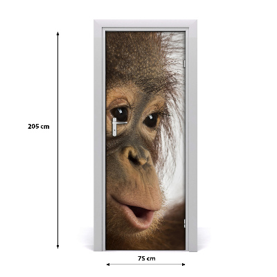 Self-adhesive door sticker A young orangutan