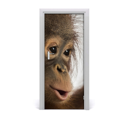 Self-adhesive door sticker A young orangutan