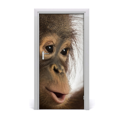 Self-adhesive door sticker A young orangutan