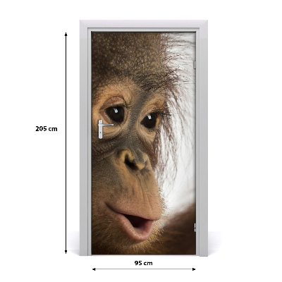 Self-adhesive door sticker A young orangutan