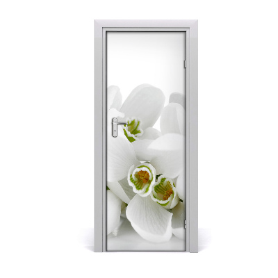 Self-adhesive door sticker White snowdrops