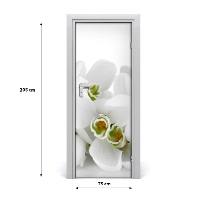 Self-adhesive door sticker White snowdrops