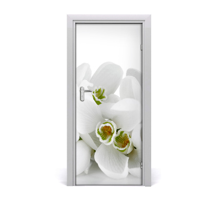 Self-adhesive door sticker White snowdrops