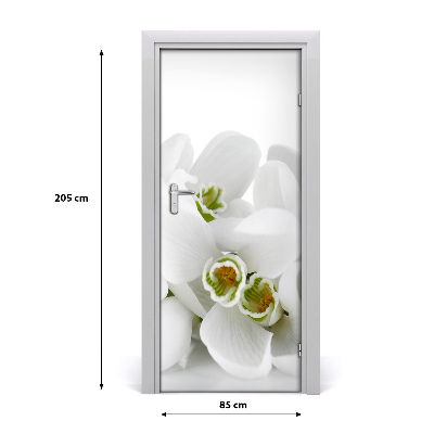 Self-adhesive door sticker White snowdrops