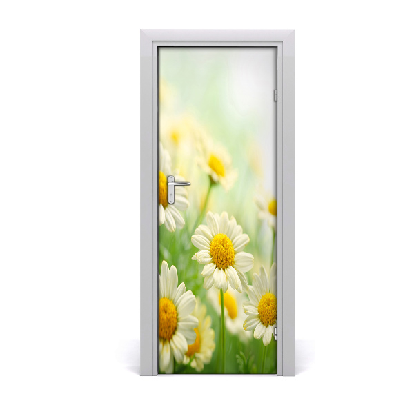 Self-adhesive door sticker Daisies