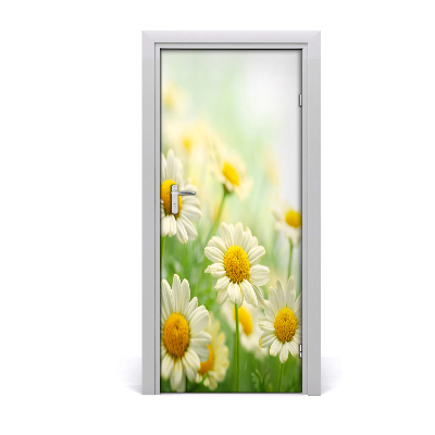 Self-adhesive door sticker Daisies