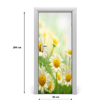 Self-adhesive door sticker Daisies