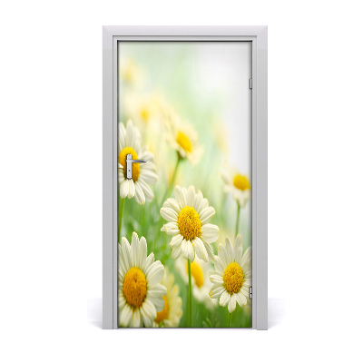 Self-adhesive door sticker Daisies