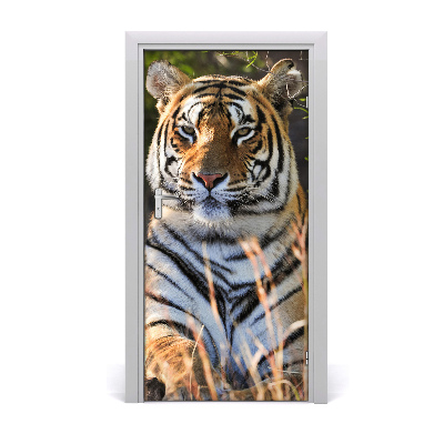 Self-adhesive door sticker Tigris wall