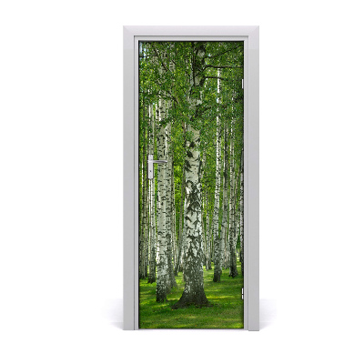 Door wallpaper Birch forest