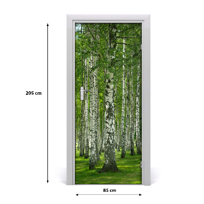 Door wallpaper Birch forest