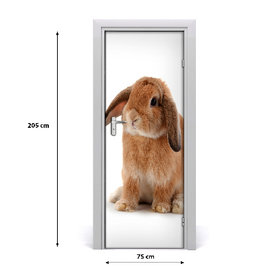 Self-adhesive door sticker Rabbit wall