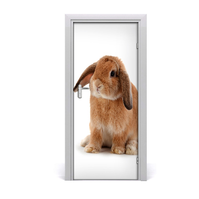 Self-adhesive door sticker Rabbit wall