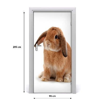 Self-adhesive door sticker Rabbit wall