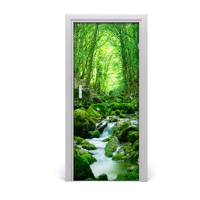 Door wallpaper Stream in the jungle