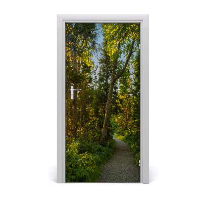 Door wallpaper Path in the forest