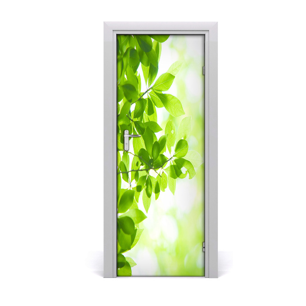 Self-adhesive door sticker Green leaves