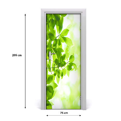 Self-adhesive door sticker Green leaves