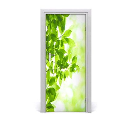 Self-adhesive door sticker Green leaves