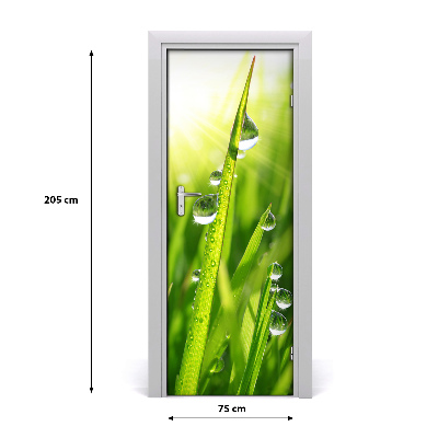 Self-adhesive door sticker Blades of grass