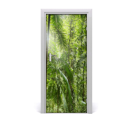 Door wallpaper The rainforest