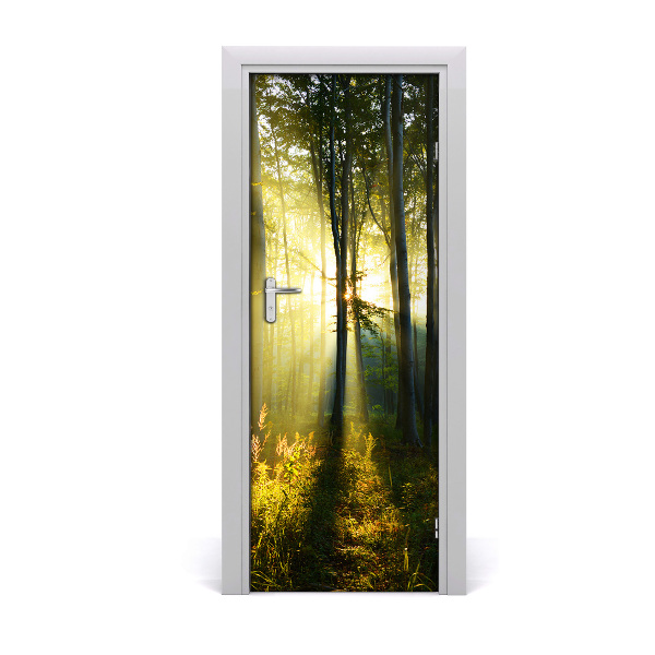 Self-adhesive door wallpaper Forest landscape