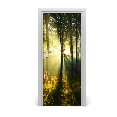 Self-adhesive door wallpaper Forest landscape