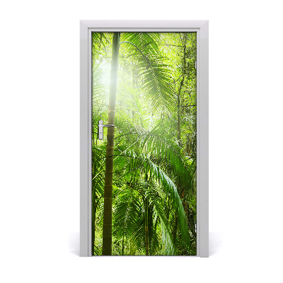 Door wallpaper The rainforest