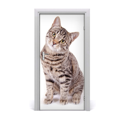 Self-adhesive door sticker Wall cat