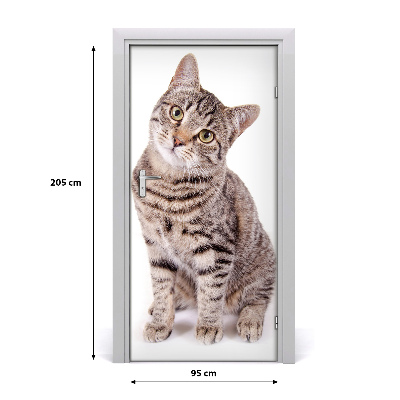 Self-adhesive door sticker Wall cat