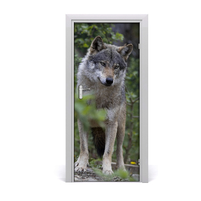 Self-adhesive door sticker A wolf in the forest